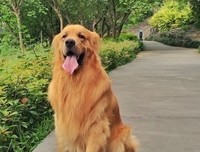 关于心情咖啡的句子