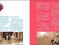玩偶私囊经典读后感有感