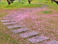 关于花开花落可月们去走人声之言的句子