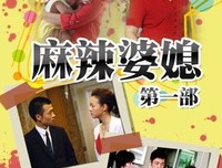 《麻辣婆媳》的影评大全