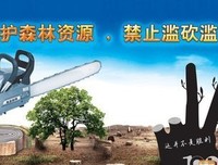 关于名言警句名言名句