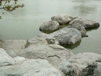 有关_﹡愿你美丽且洒脱的句子