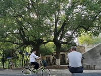 悠悠草经典的句子