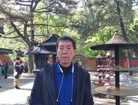 苍茫时分读后感锦集