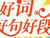 刺猬的爱情读后感摘抄