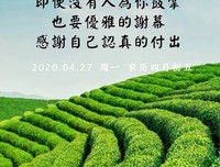 细碎阳光句子