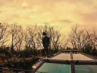 《宫崎骏和吉卜力美术馆》经典影评有感