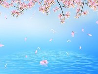 描写落英缤纷的经典句子