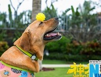 关于致小七的句子