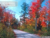 请为我唱一曲离歌好词好句