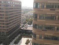 连岳 | 万古江河，给你信心