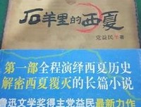 《石羊里的西夏》经典读后感有感