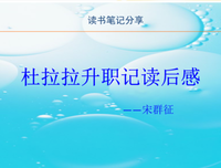 《杜拉拉升職記》读后感1000字