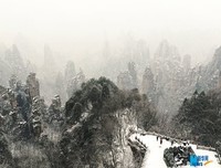 飞雪纷纷