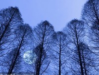 简单有边种月出寂静的句集句子