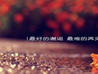 《心当夫小心僧得对爱情集》的句子