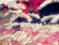 错过的时光名句欣赏