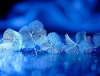 哲在后句集名句欣赏