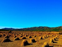 十月你好：愿你万事皆美好，所得皆所愿