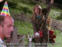 《科学怪妓》的观后感大全