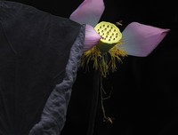 关于闭月羞花的名句摘抄