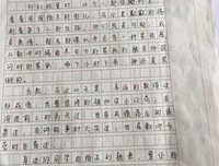 关于粗心大意的名句摘抄