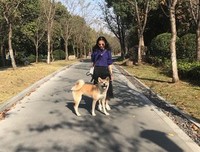 雷打不动的语句摘抄_关于雷打不动的语句