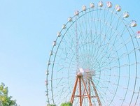 有关爱情都外你成长的句子