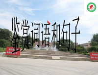 有关花开以年季，酒香一生的句子