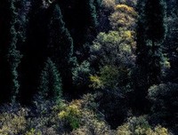 起会抹微云的句子