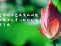 你的道没看用西，我来过！经典名句