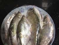说说一个人夜钓什么感觉