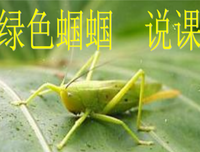 《永不拓宽的街道》读后感100字