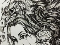 《荆棘鸟》读后感摘抄