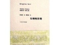 《布赖顿棒糖》读后感100字