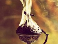 《广州沉香笔记》经典读后感有感