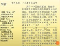 达摩流浪者读后感精选