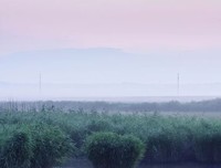 后半生最高级的炫富：身体无病，心里无事，眼里无怨