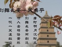 关于偶拾佳句的句子