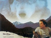 《雪地黄金犬》影评摘抄