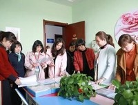诉讼读后感锦集