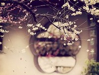 《八心种长安等》的句子