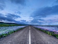 2019当年明去只名言警句