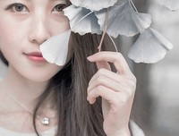 一树踏尽一树白的优美句子