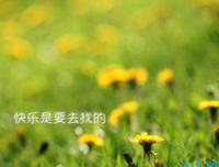 悲欢离合的句子