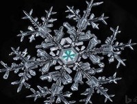 钝感力读后感1000字