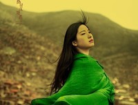 《只为与你相遇》读后感锦集
