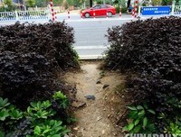 《五道障碍》影评摘抄