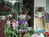 关于千花百草集的句子