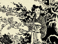 使女的故事读后感精选